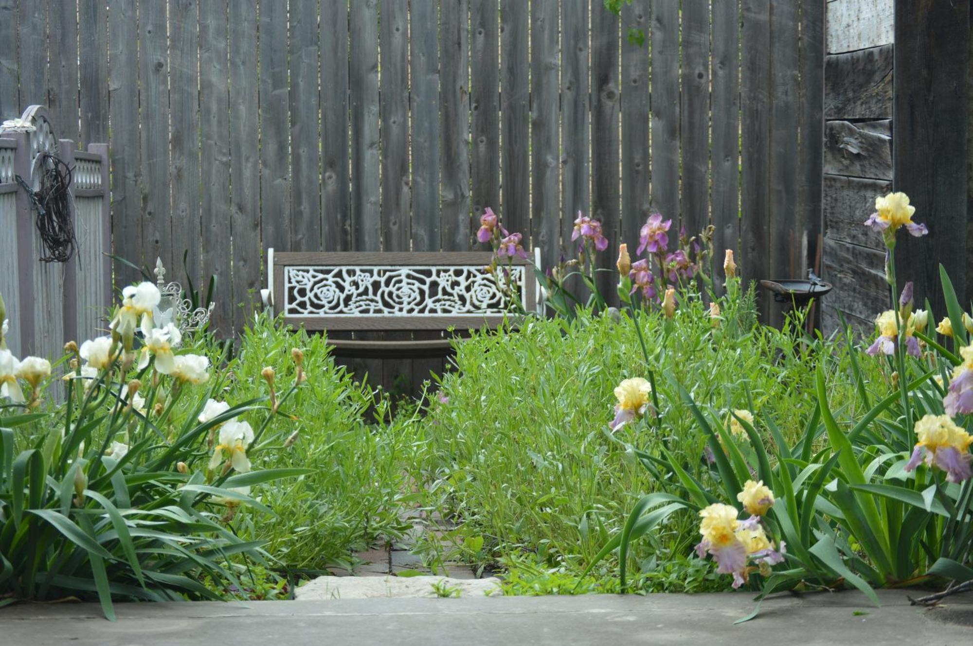 Carleton House Bed And Breakfast Bonham ภายนอก รูปภาพ