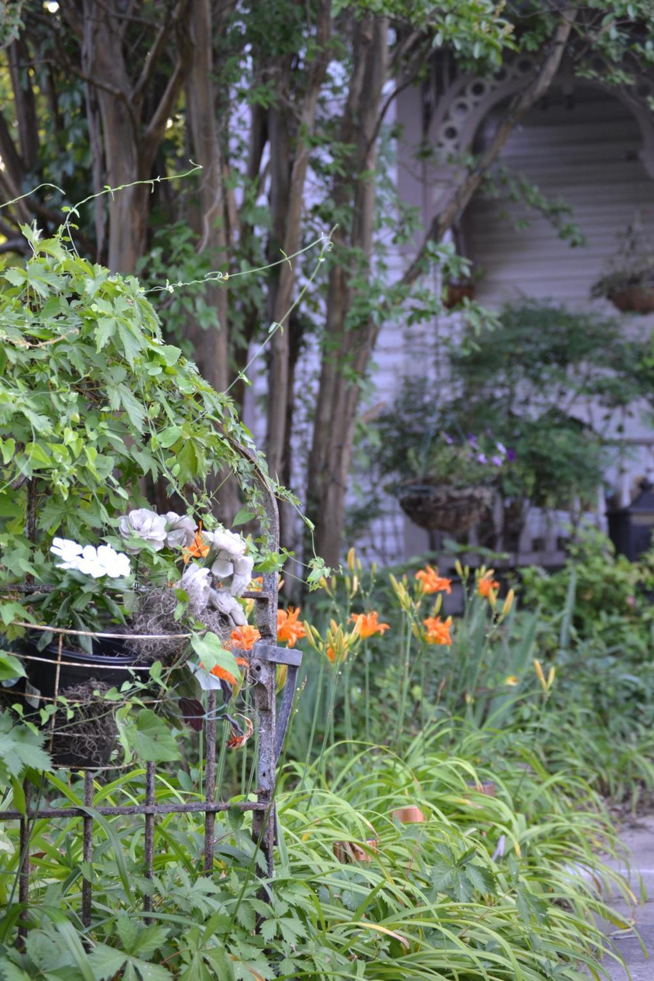 Carleton House Bed And Breakfast Bonham ภายนอก รูปภาพ
